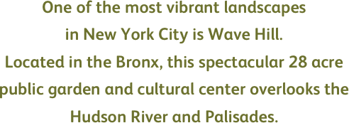 One of the most vibrant landscapes 
in New York City is Wave Hill. 
Located in the Bronx, this spectacular 28 acre public garden and cultural center overlooks the Hudson River and Palisades.  